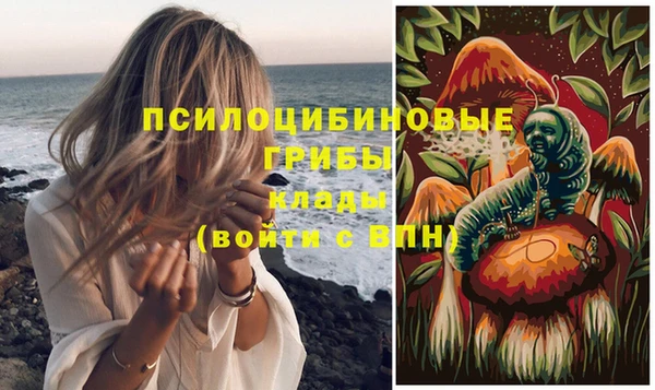 соль ск Абдулино