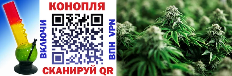 купить даркнет телеграм Конопля марихуана Горбатов